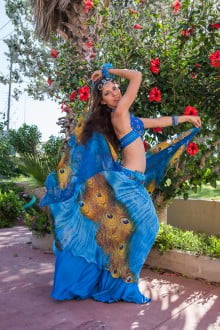 Blue costume